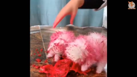 POCKET PUSSY HAVING FUN WITH WATERMELON