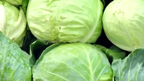 Benefits of Cabbage