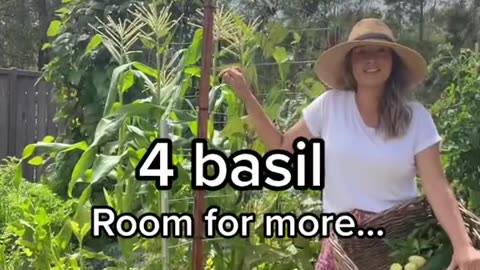 Are you finding it challenging to cultivate plants within a limited area?