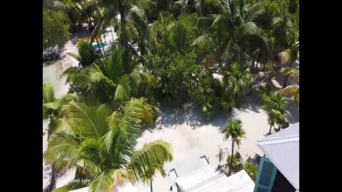 kbkaraokeking who's crying now (Jan 2024)