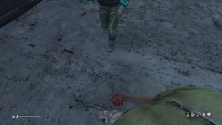 entry into DayZ