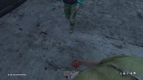 entry into DayZ