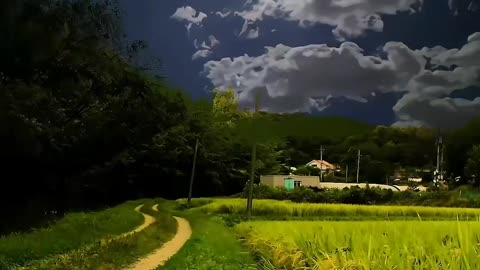 Morning Meditation Music,Relaxing Music, Study Music,Stress Relief Music, Soothing Relaxation Music