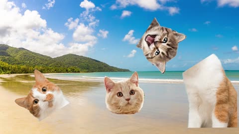 CUTE PETS Dog, Rabbit Cat, Hamster, Rabbit, Parrot