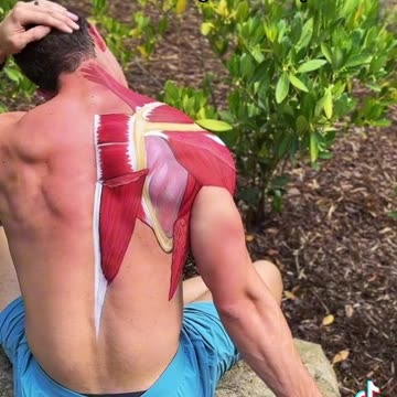 Back pain exercise