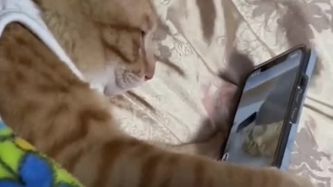 time to sleep