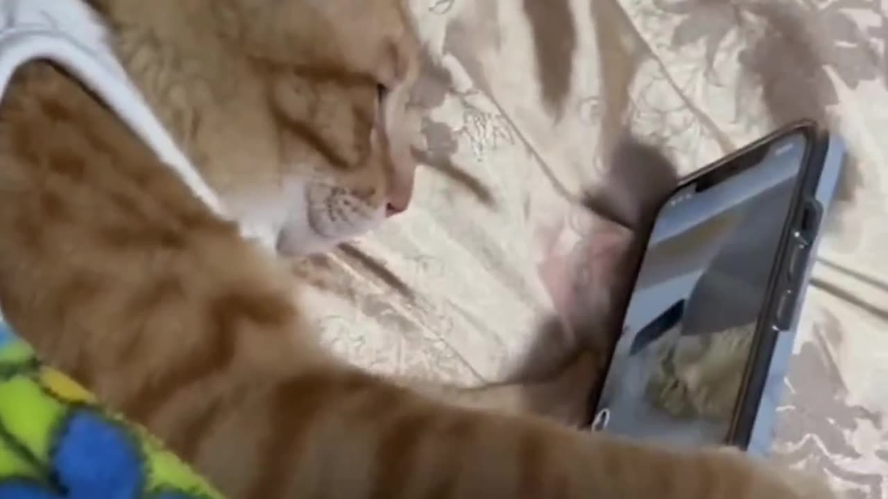 time to sleep