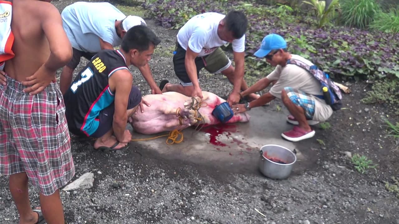 PHILIPPINES: PROCESSING A PIG