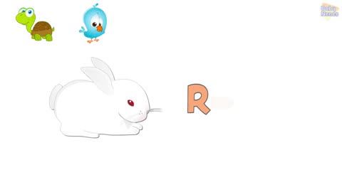 Pets In English for Kids