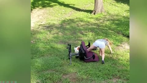 Funny video