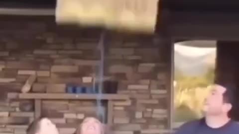 gender reveal backfire