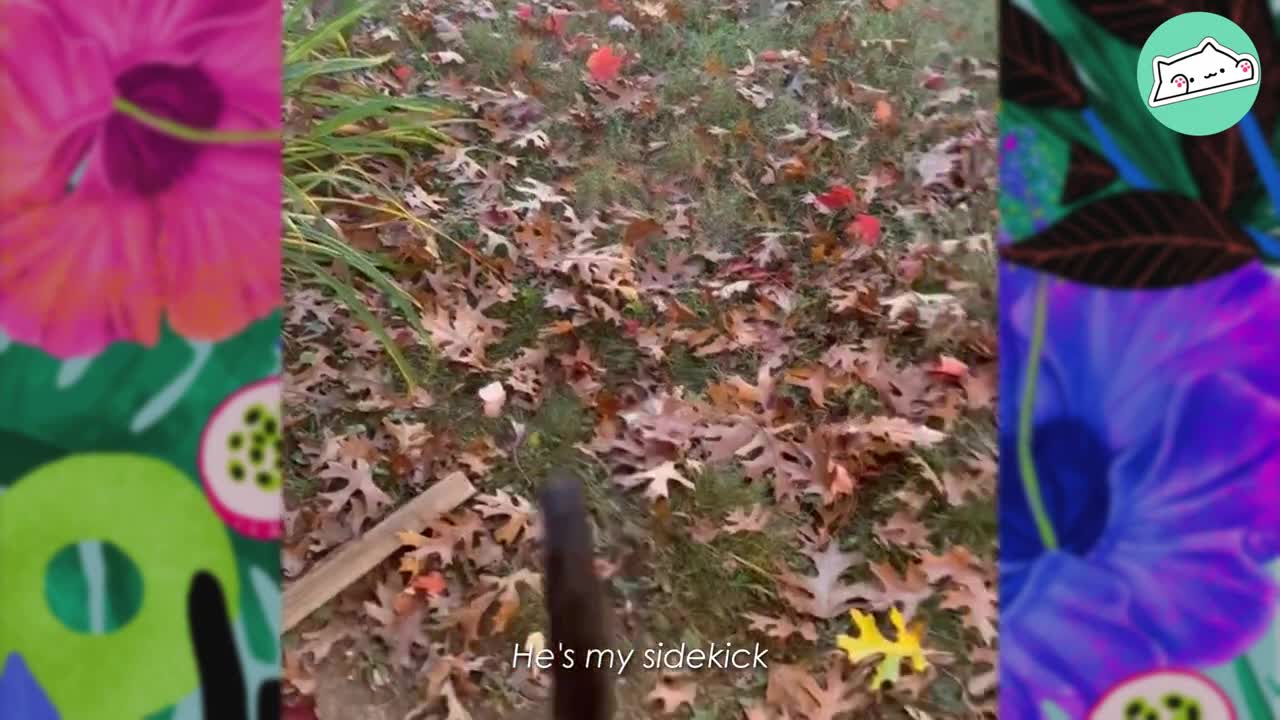 Rescue Monkey Acts Like Toddler and Forms Special Bond With Man _ Wild Cuddles