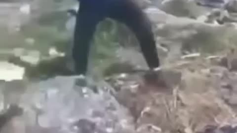 Момче Пребива Малко Кученце