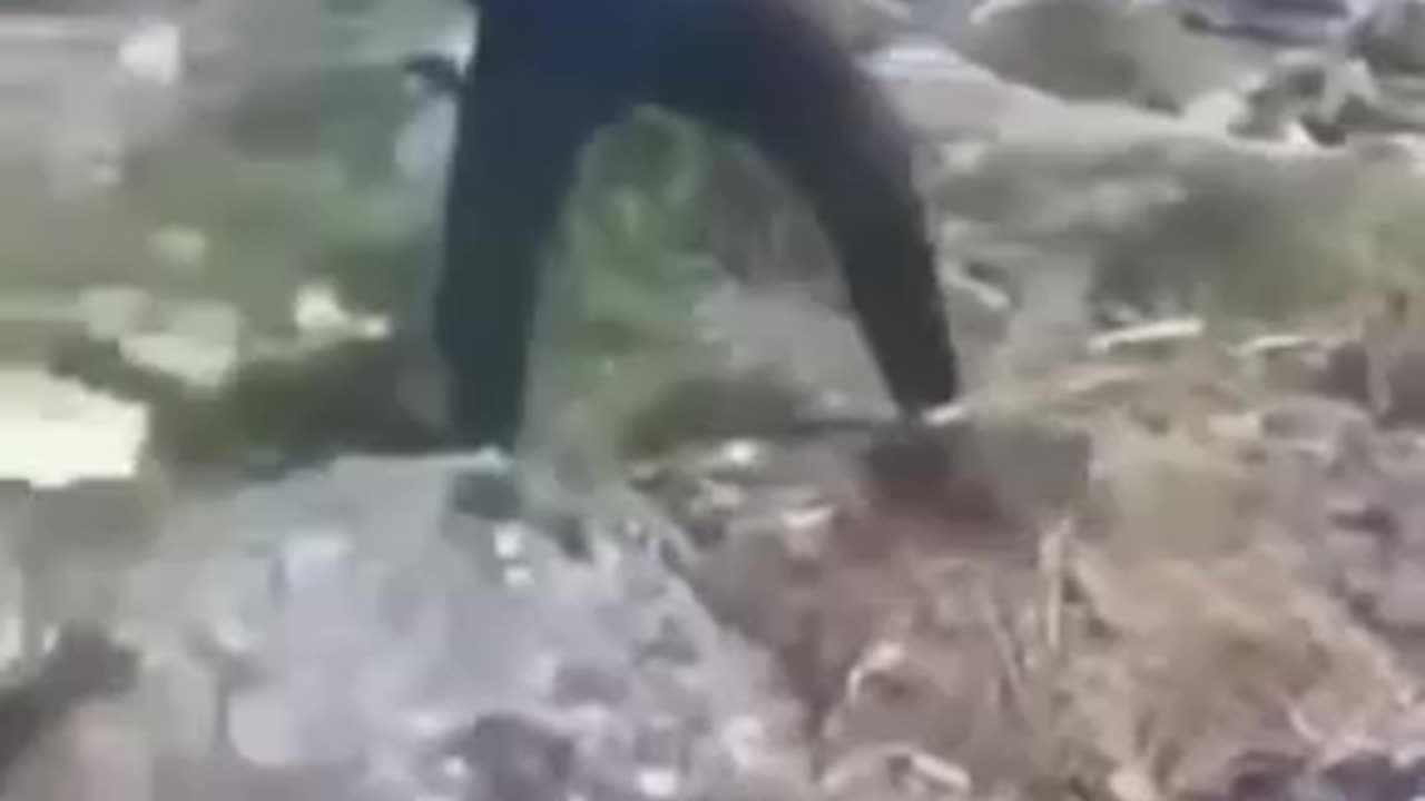 Момче Пребива Малко Кученце