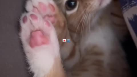 Awww cuteness