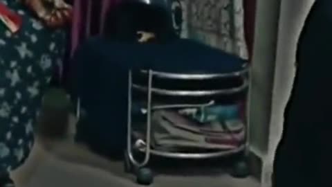 WATCH IT AND HAPPY YOUR MIND::
