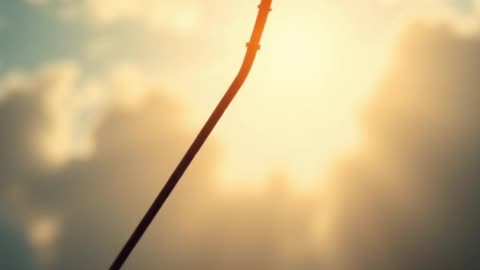 Arjuna: The Perfect Archer