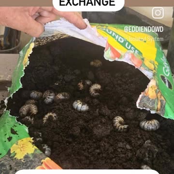 Miracle Grow is up there with fast food, vaccinations, and other government weapons.