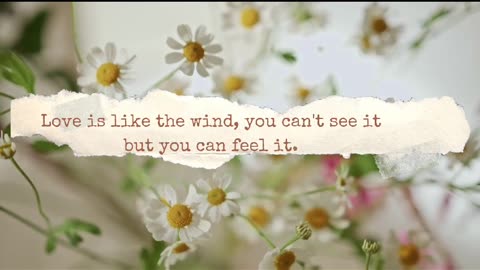 love is like the wind / quote