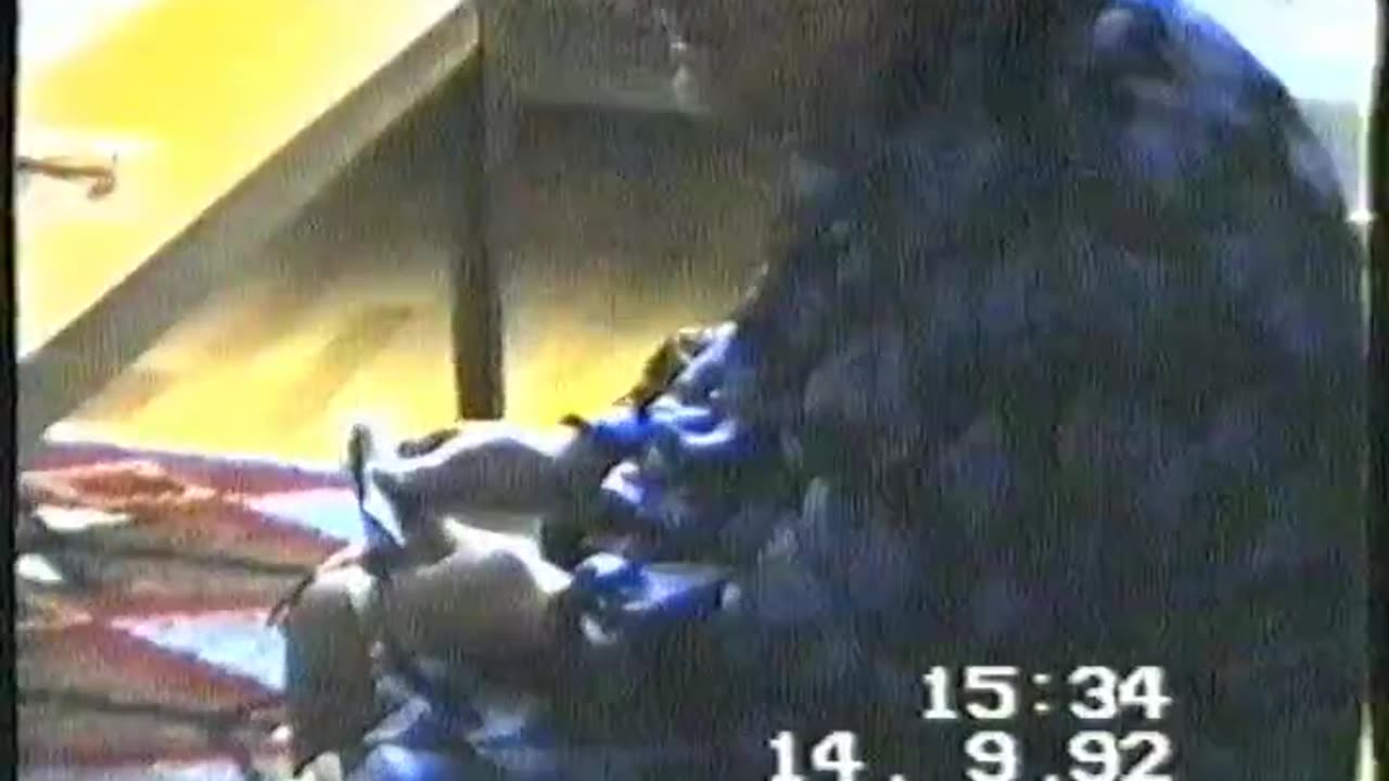 Estrid Dahlström 13-14 Sept. 1992