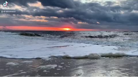Beauty at the beach…