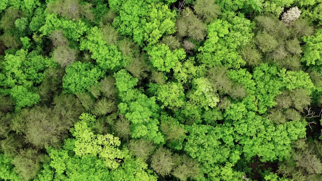 The Colors of Nature - A Virtual Journey to the World's Most Beautiful Landscapes