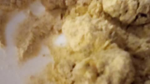 Fake High Protein Pumpkin Spice Ice Patty