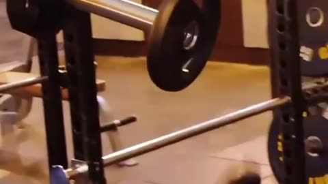 Funniest videos on internet