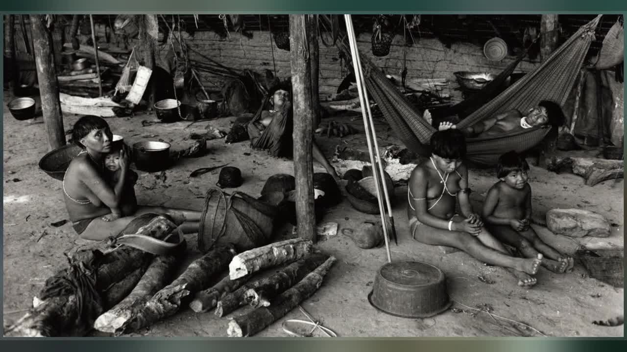 Genocide Of Indigenous Peoples In Brazil