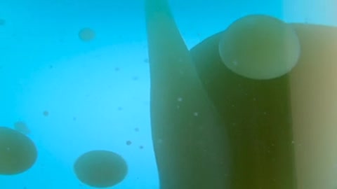 Download royalty-free stock video clip of Free Blue Abstract