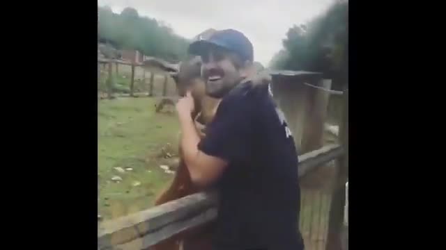 Your Pet Who Always Loves You Back