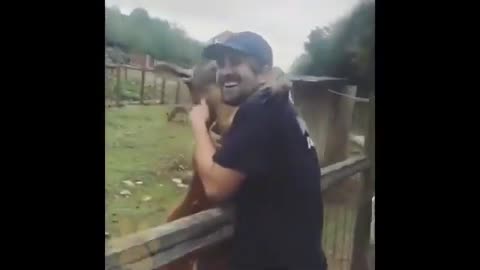 Your Pet Who Always Loves You Back