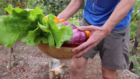 Big October Garden Harvest Local Food at its Best