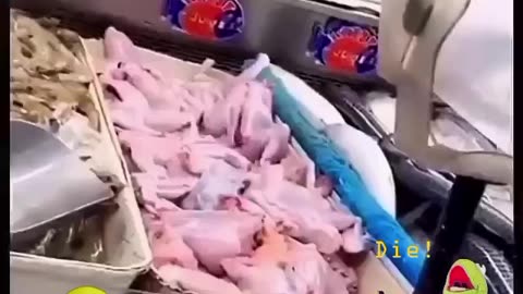 MOVING MEAT? 😳