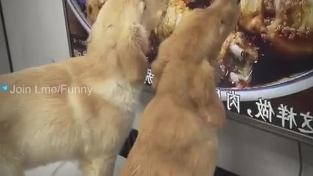 Delicious