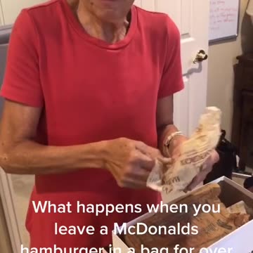 A McDonald's Hamburger After Being Left In Bag For Over 20 Years