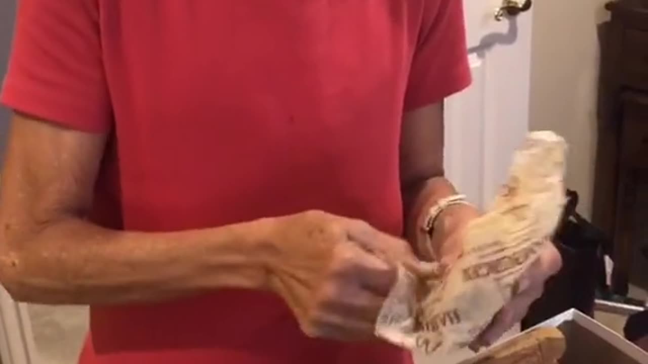 A McDonald's Hamburger After Being Left In Bag For Over 20 Years