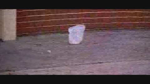 AMERICAN BEAUTY ~ Plastic Bag Scene [HD]
