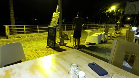 Bull sea lion evicted after causing a scene at beachfront restaurant