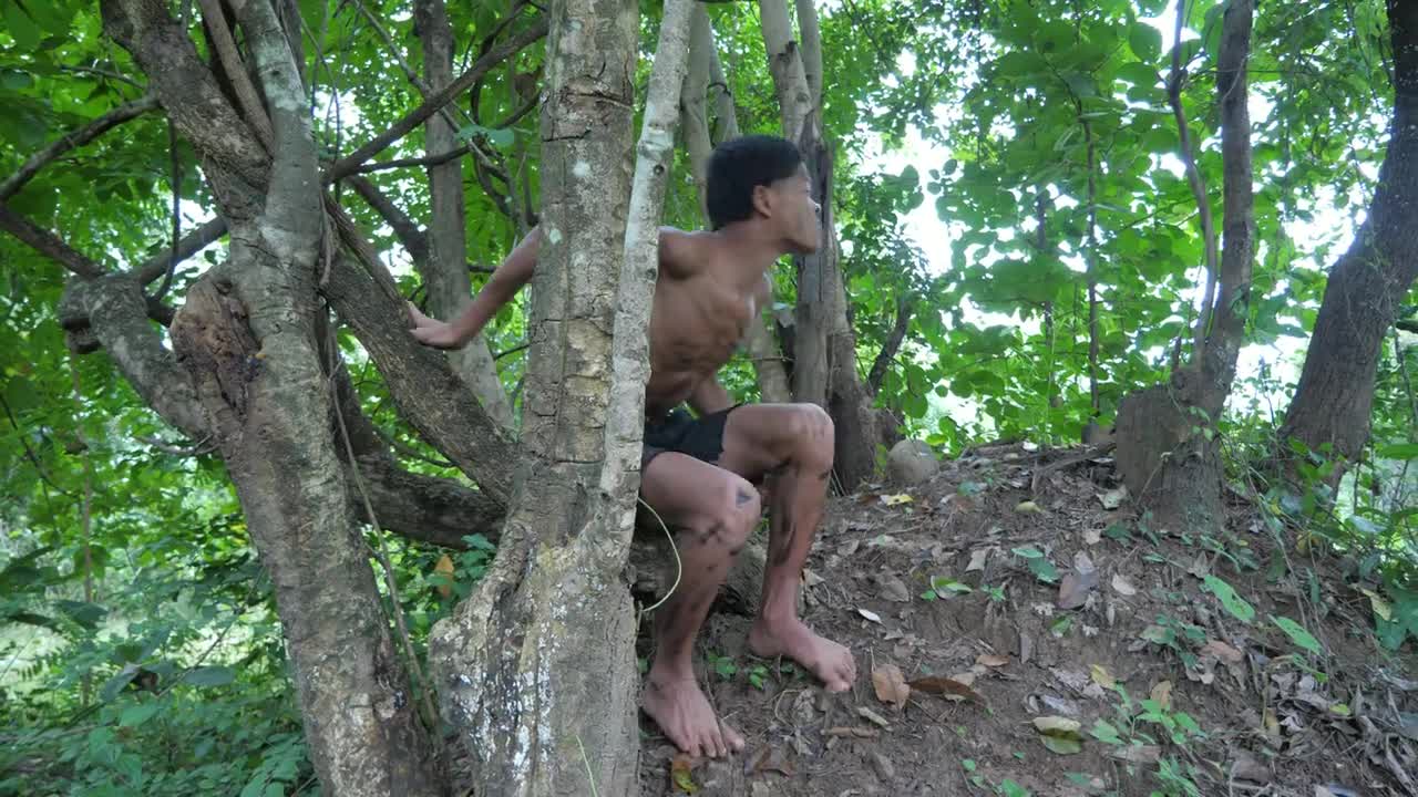 Shrimp eating in jungle, cooking on a rock | Primitive Wildlife-20