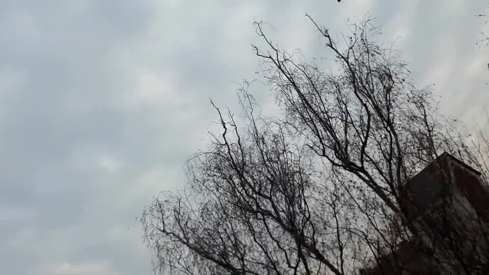 Himmel in Berlin am 30.11.2022 um 12:24 Uhr