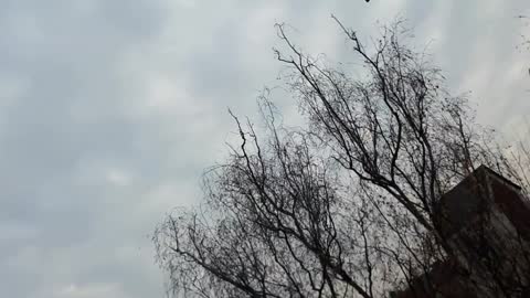 Himmel in Berlin am 30.11.2022 um 12:24 Uhr