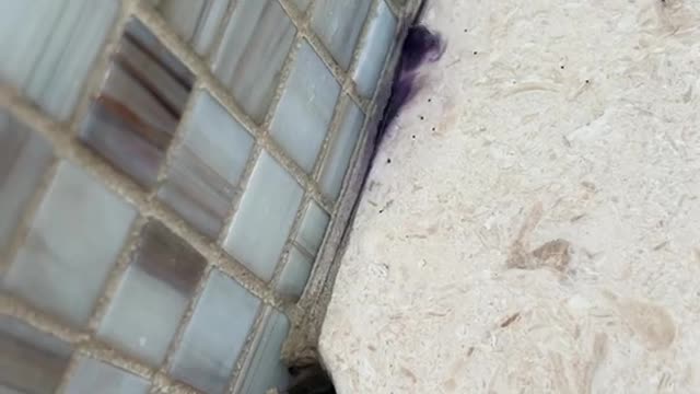 This pool ha eaking since it was wo years ago and no one could find the leak
