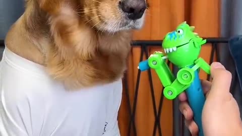 Dog: Just because I'm good-natured doesn't mean I won't bite!