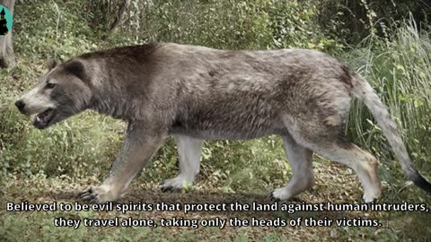 The Lost World of the Nahanni Valley, Northwest Territories