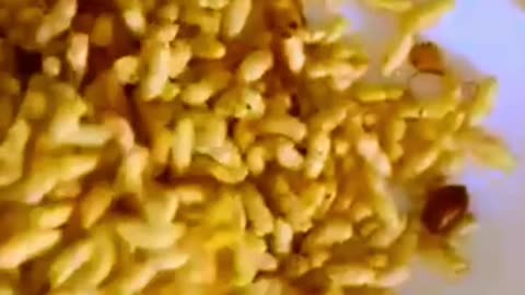 Vegetable Rava Upma _ Murmura Chivda (Puffed Rice ) #youtubeshorts #viralvideo #desi #vegan