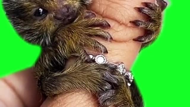 funny #funny video#Must watch new funny comedy videos 2022 best amazing funny comedy
