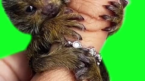 funny #funny video#Must watch new funny comedy videos 2022 best amazing funny comedy