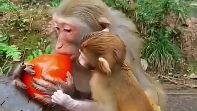 Greedy mom
