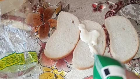 Bagged Mayonnaise Disaster